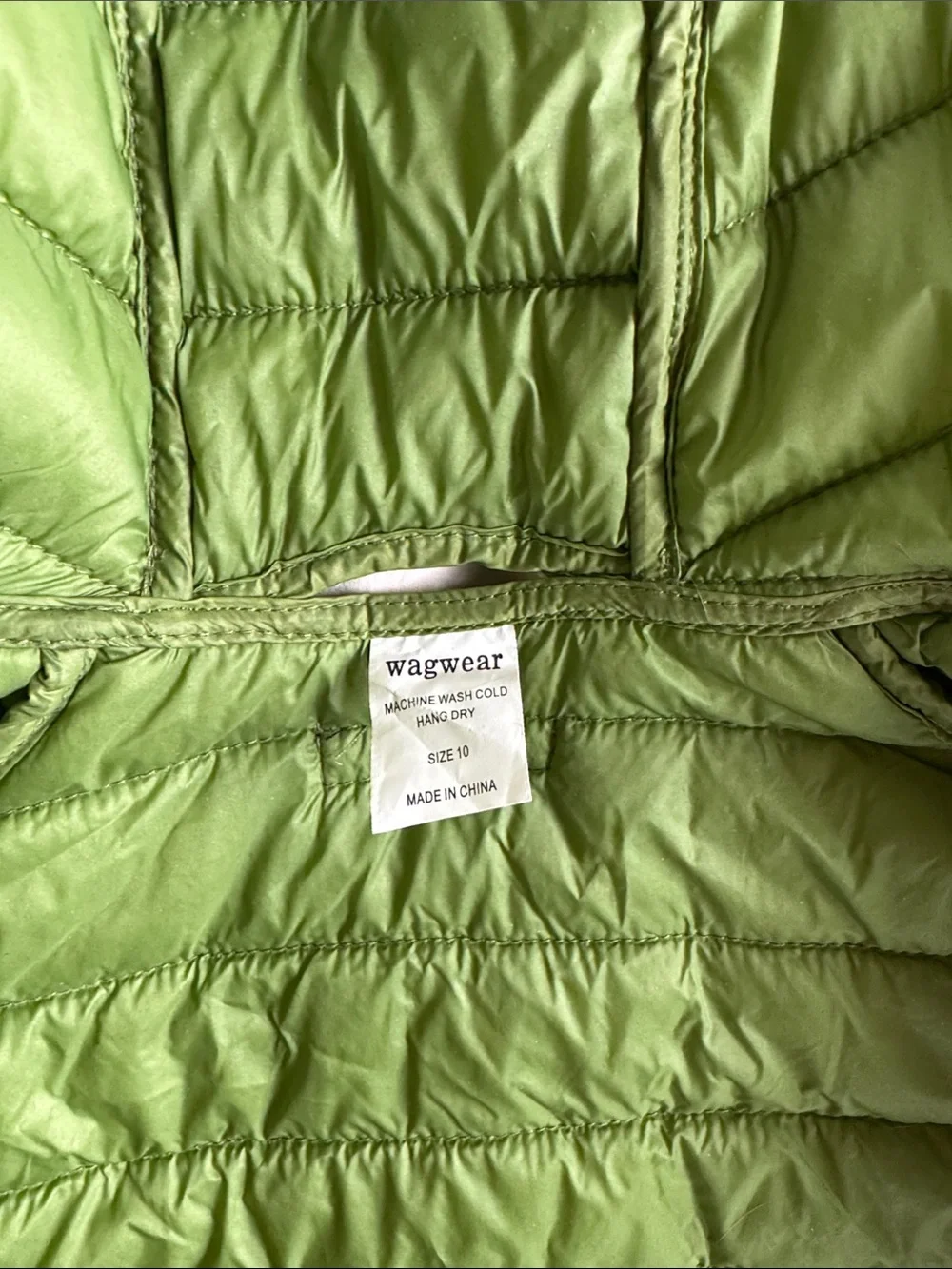 Wagwear size 10